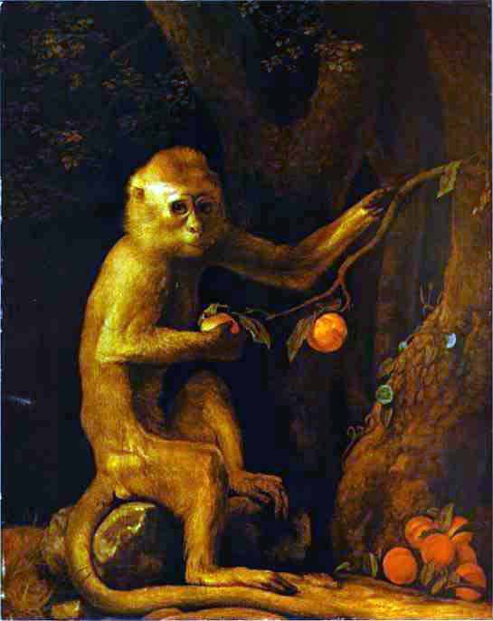 George Stubbs Green Monkey